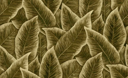 Arte Decors & Panoramiques Bird Of Paradise 97571