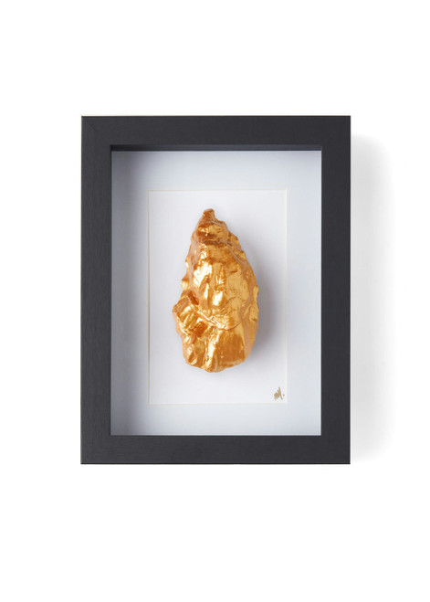 Little Golden Back witte passe partout