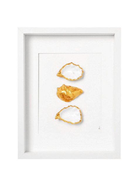 XL lijst 3 oesters Coral