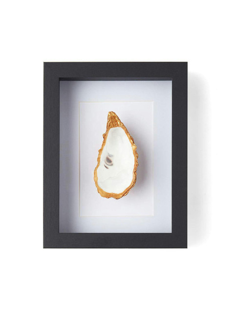 Oester witte passe partout