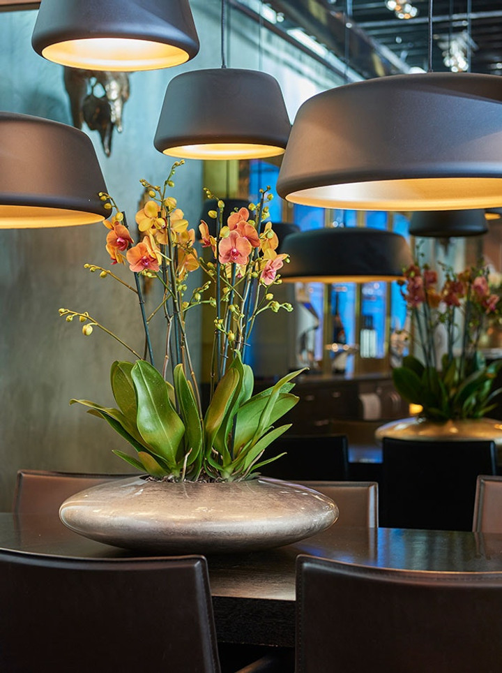 Hala tommy hanglamp rond 3-lichts E27 ontworpen door Peter Kos