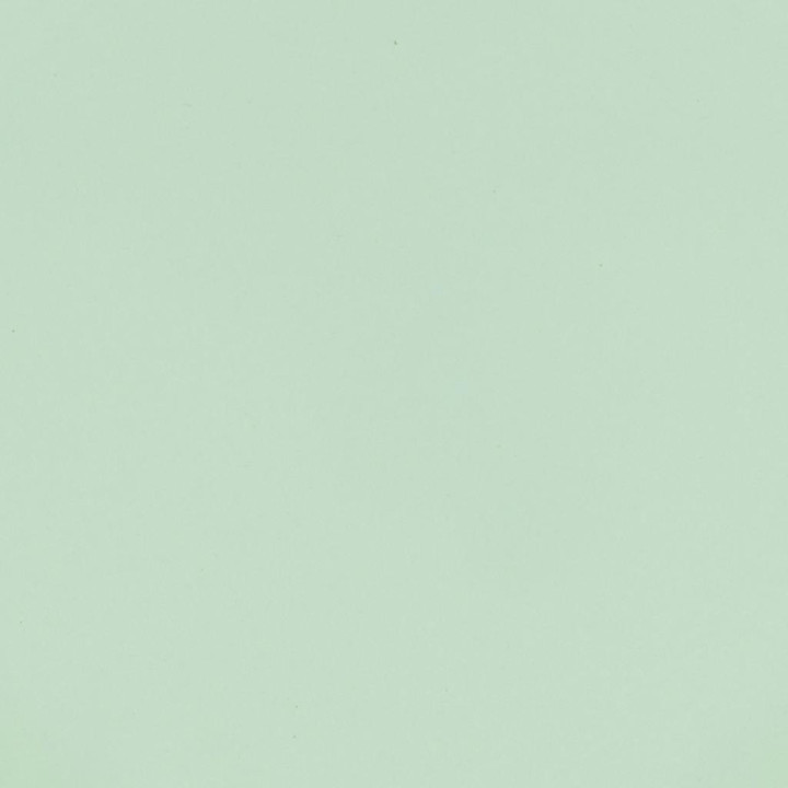 Good Morning bowl sculpted Celadon