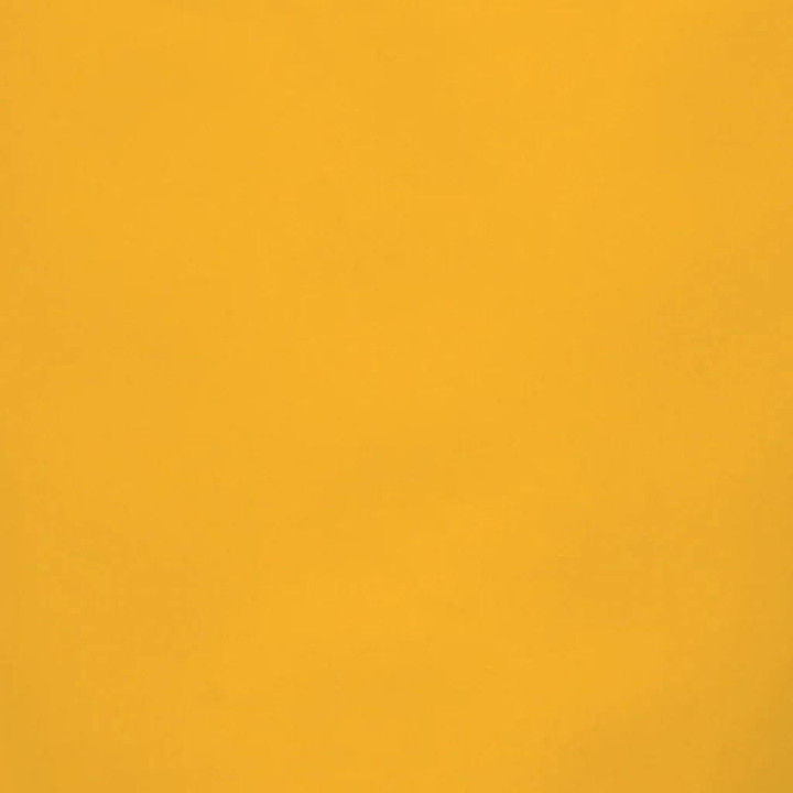 Good Morning kopje Coffee Daylily