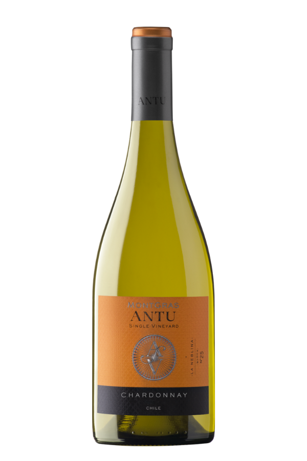 Montgras Antu Chardonnay 0,75L