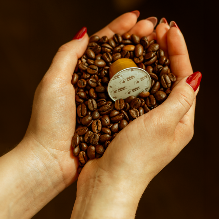 Valk Koffiecups Lungo