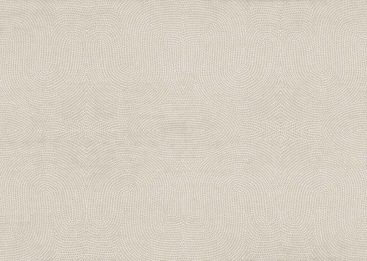 Arte Paleo Strata 50573