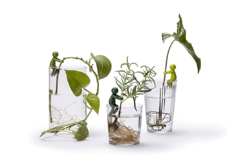 Peleg Design Stekjeshouder Leafriend