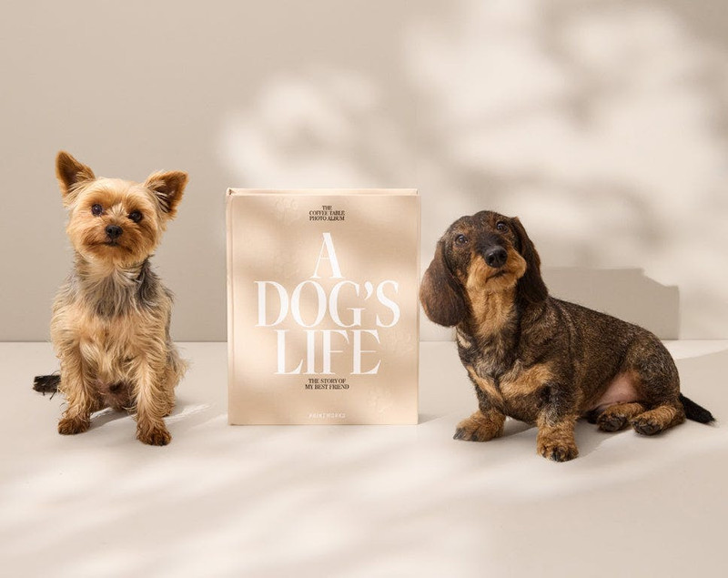 Printworks Fotoalbum - A Dog's Life