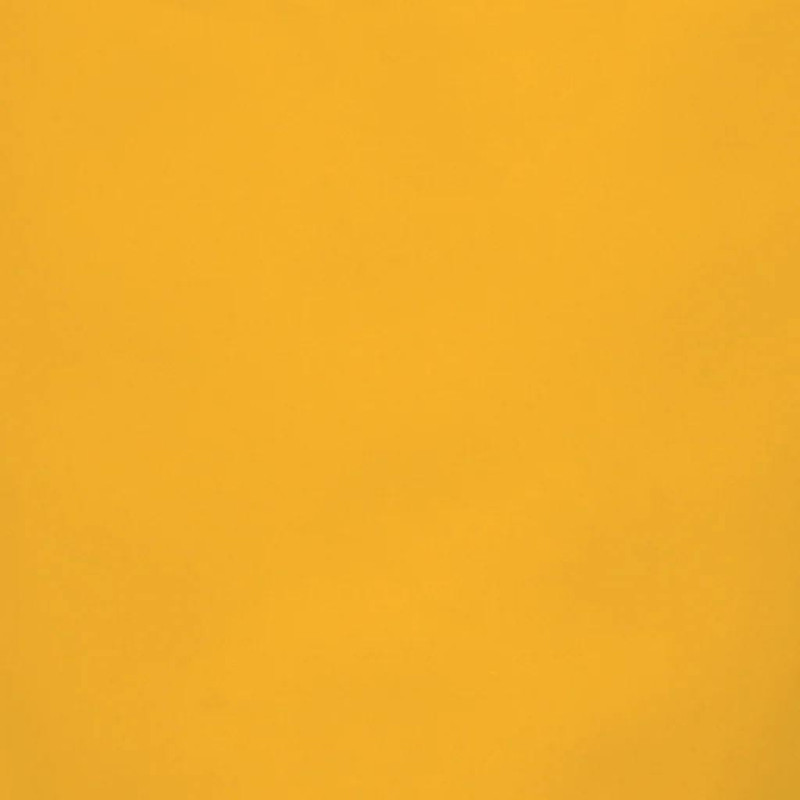 Good Morning kopje Coffee Daylily