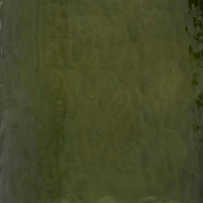 Wijnglas hammered Banana palm
