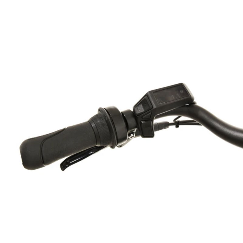 E-bike - Gazelle Grenoble C8 HMB 2025 - Dames