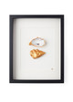 XL lijst 2 oesters met witte passe partout