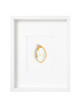 XL lijst 1 oester Isabel