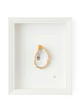 Witte Lijst 1 oester