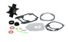 WATER PUMP KIT     8M0205803