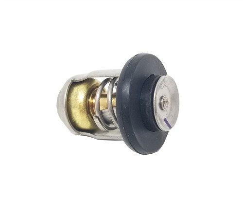 THERMOSTAT     8M0139434