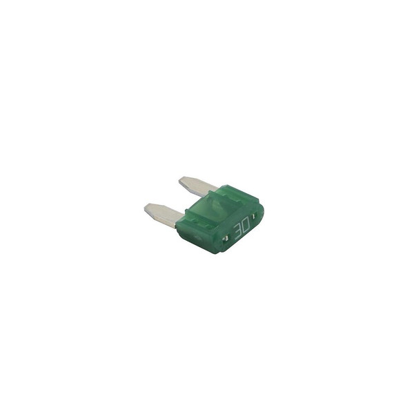30 AMP GREEN FUSE     83296930