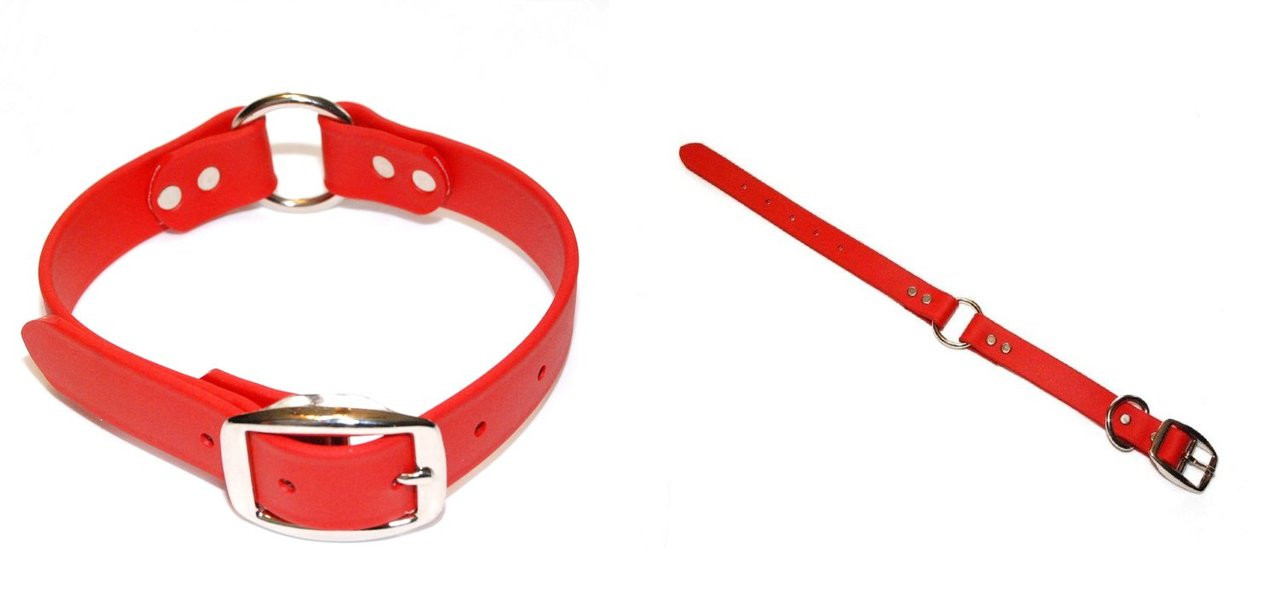 center ring dog collar