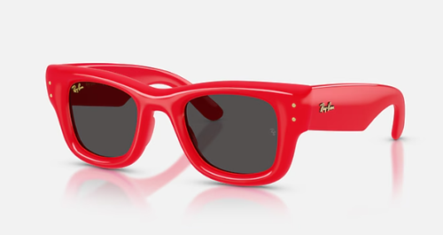 GAFAS DE SOL RAY-BAN 4940 WAYFARER PUFFER 6831/87