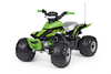12V Peg Perego 2020 CORRAL T-REX 330W Ride on Quad Bike Green 12V Peg Perego 2020 CORRAL T-REX 330W Ride on Quad Bike Green