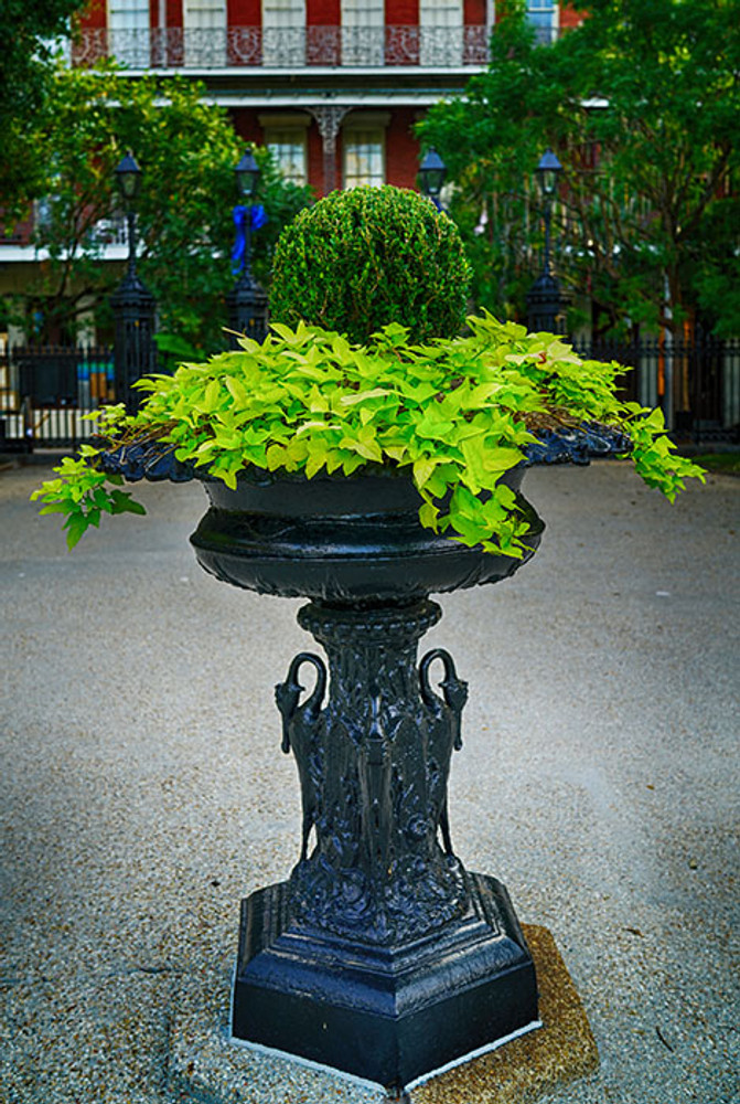 Jackson Square Planter