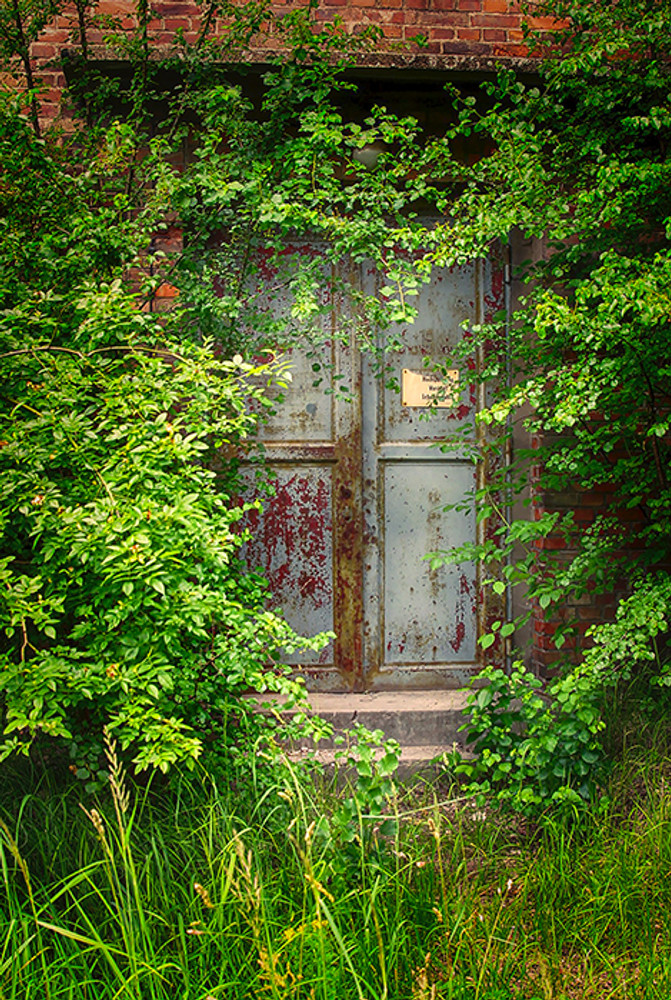 Overgrown Door