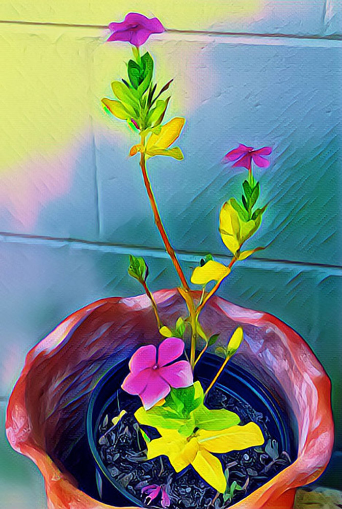 Flowers In A Pot
