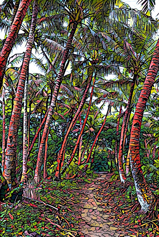 Trail of Palms (PR)