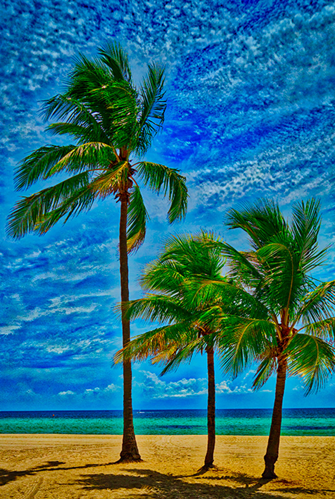 Three Beach Palms (HDR)