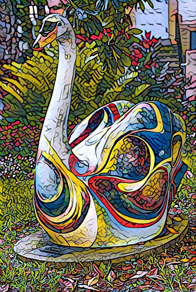Multicolored Swan (PR)