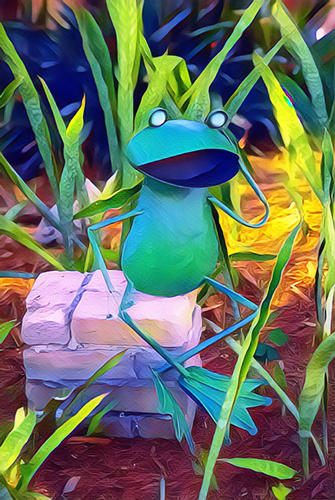 Garden Frog (CB)