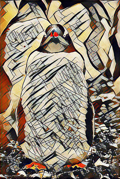 Tuxedo Penguin (PR)