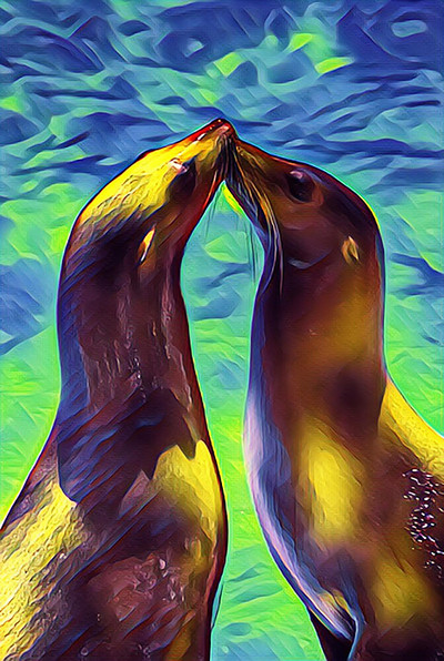 Kissing Seals (CB)