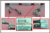 SPS- Mini SAS Cable Kit - P05869-001