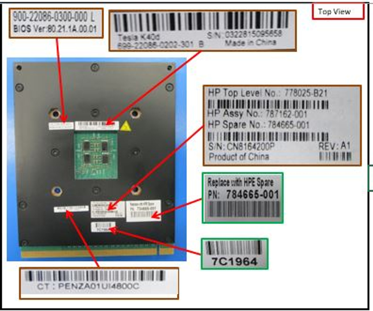 SPS-ACCLRTR GRAPHIC Nvidia GPGPU - 784665-001