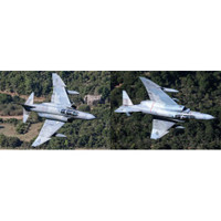 F-4E PHANTOM II AUP