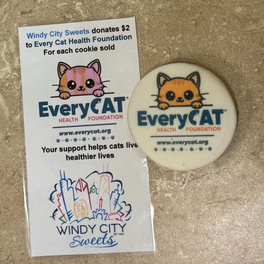 Get The Scoop On Cat Health Ice Cream Social: Friday, June 19, 7-9 p.m.