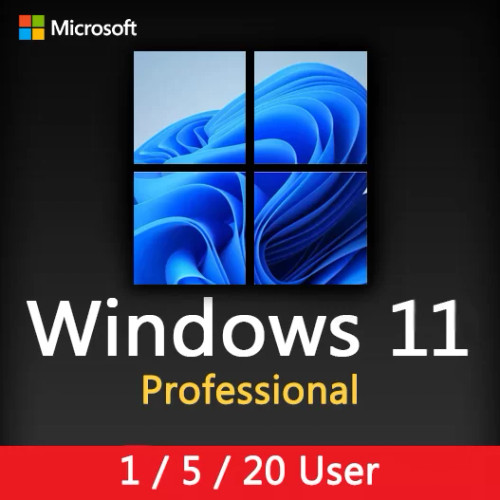 Windows 11 Professional (1/2/5/20/50 users)