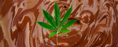 CBD and THC Infused Chocolate Recipe