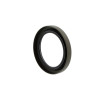 Oil seals W100-120-12  B1