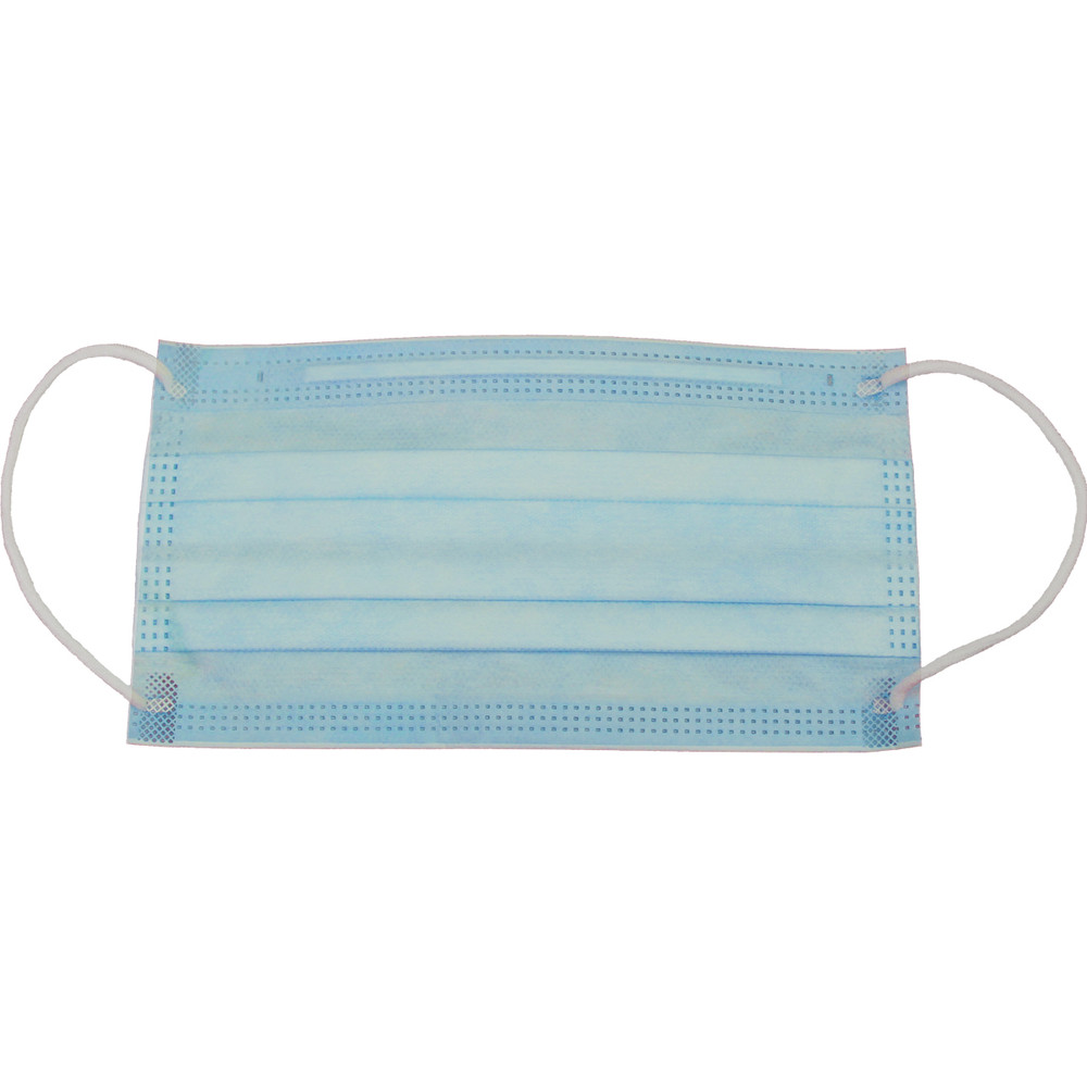 Adenna Earloop Face Mask, Level 2 - Blue