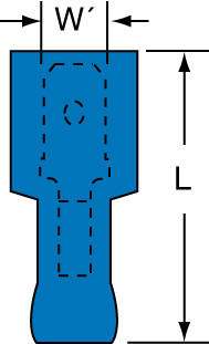 primary_image