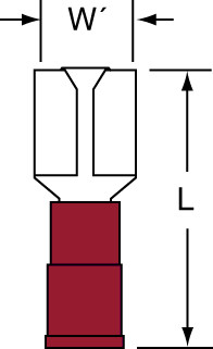 primary_image