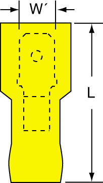 primary_image