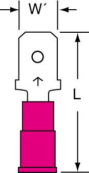 primary_image