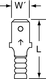 primary_image