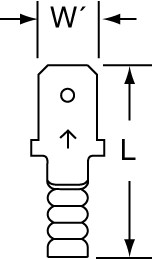 primary_image