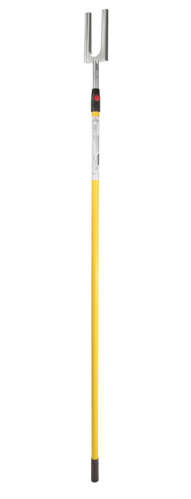 primary_image
