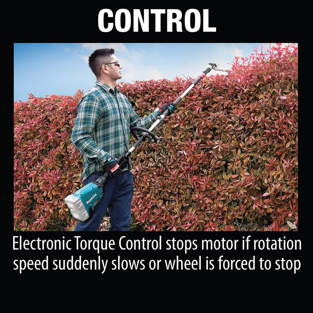 alternate_image