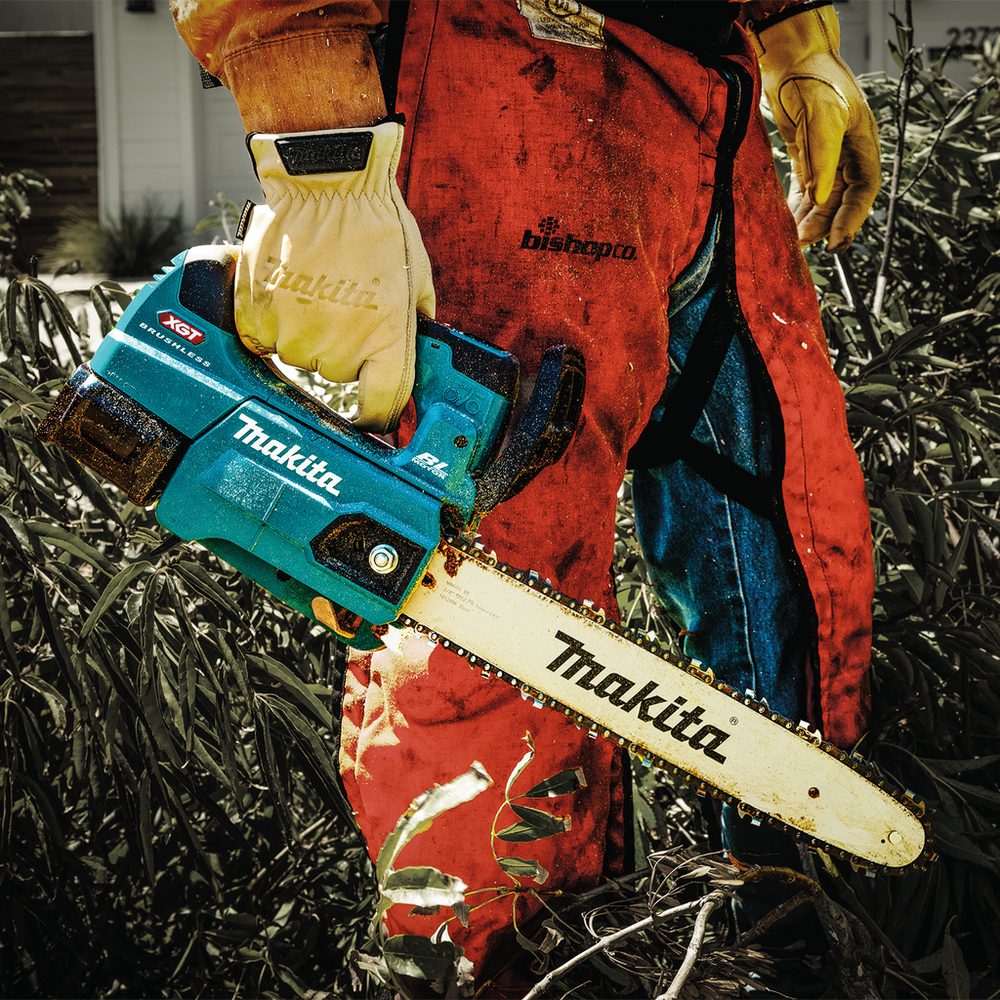 alternate_image